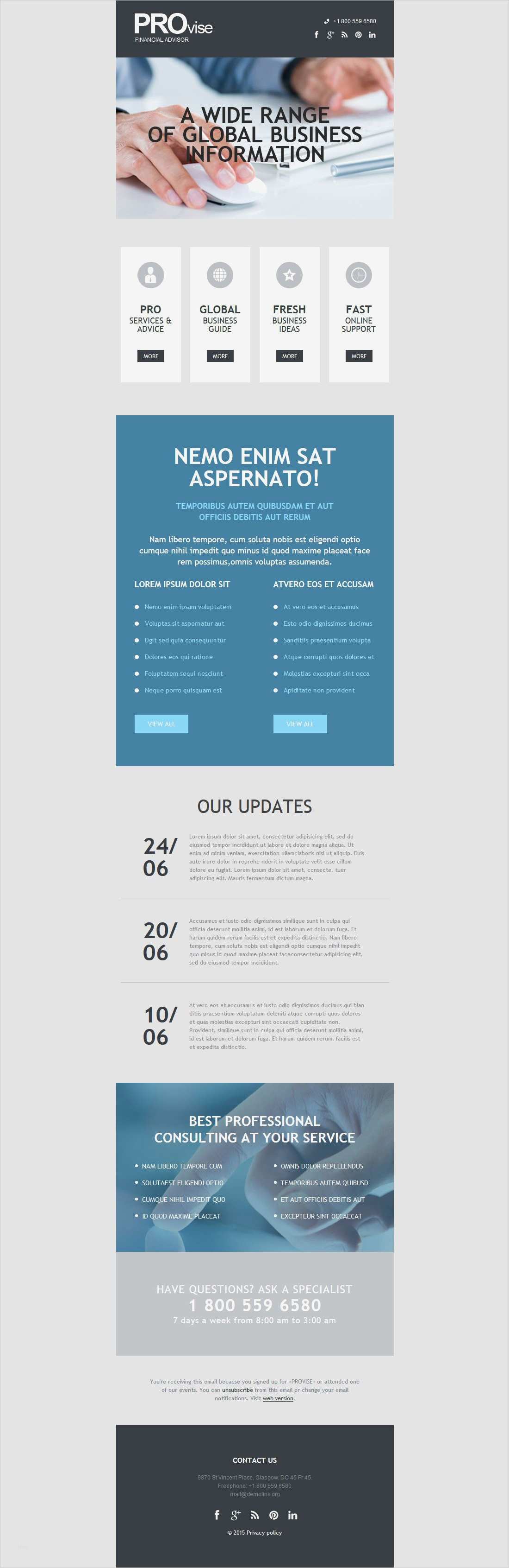 Responsive Newsletter Vorlage Hübsch Newsletter Vorlage Für Business Und Dienstleistungen