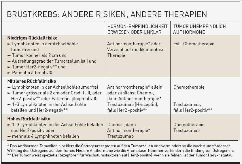 Risikomatrix Nach Nohl Vorlage Genial Groß Risiko Tabellenvorlage Fotos Dokumentationsvorlage