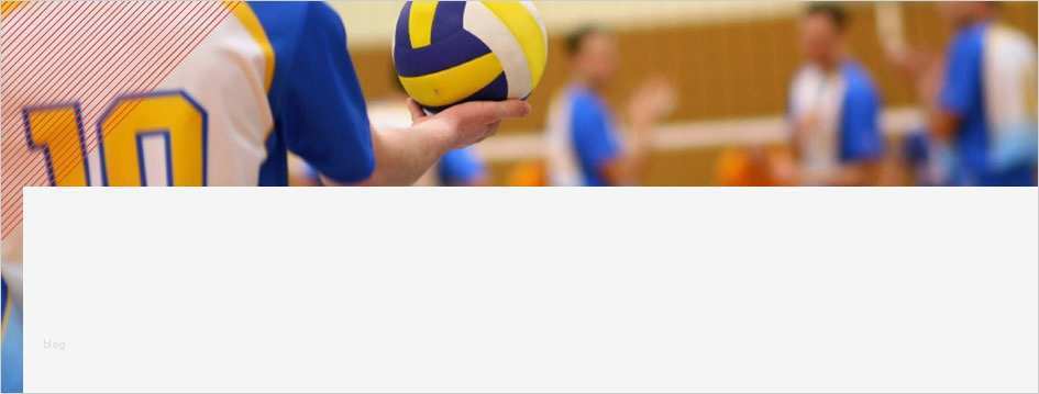 Rücktritt Kassenwart Verein Vorlage Erstaunlich Kassenwart