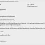 Rücktritt Kassenwart Verein Vorlage Wunderbar Kündigungsschreiben Verein Vorlage Gut Mitgliedschaft