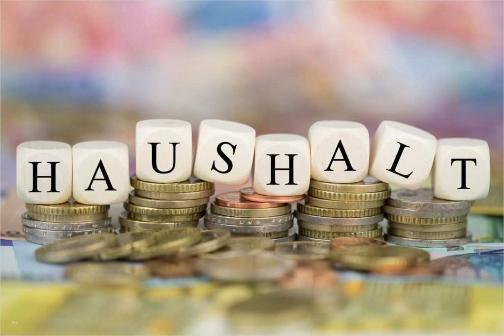 Rücktritt Vereinsvorstand Vorlage Wunderbar Haushaltsplan Vereinswelt