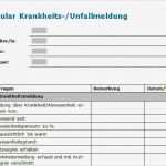 Schadensmeldung Vorlage Word Bewundernswert Nett Unfallformular Vorlage Fotos Entry Level Resume