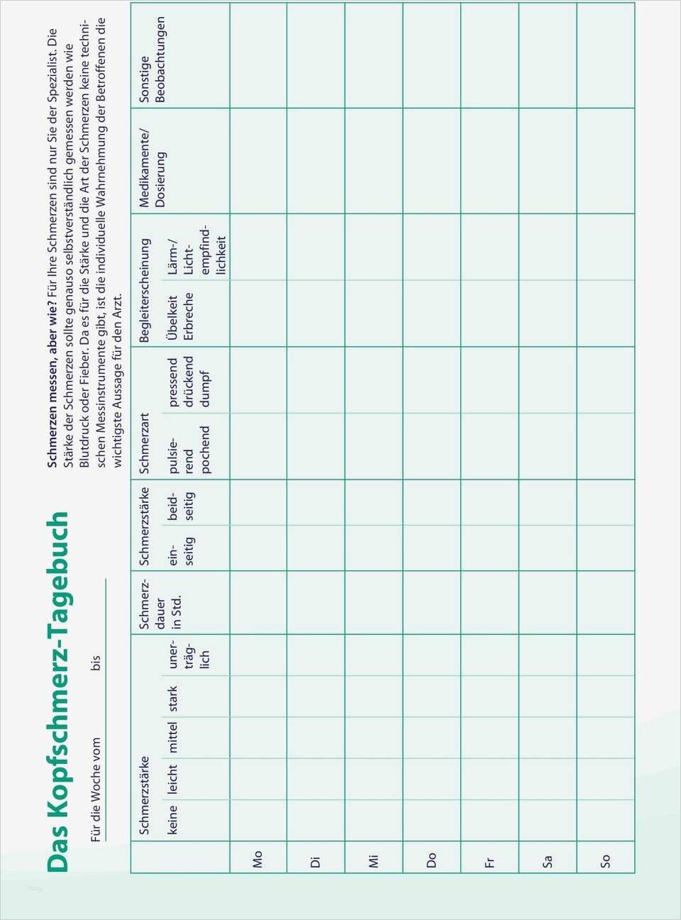 Schmerztagebuch Vorlage Excel Hübsch Gemütlich Blutdruck Protokoll Vorlage Bilder Entry Level