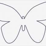 Schmetterling Einladung Basteln Vorlage Erstaunlich Die 25 Besten Schmetterling Vorlage Ideen Auf Pinterest