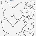 Schmetterling Einladung Basteln Vorlage Erstaunlich Kreativ Oder Primitiv Schmetterling Collage