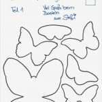 Schmetterling Einladung Basteln Vorlage Luxus Die Besten 25 Schmetterling Vorlage Ideen Auf Pinterest