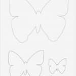 Schmetterling Einladung Basteln Vorlage Süß Die Besten 25 Schmetterling Vorlage Ideen Auf Pinterest