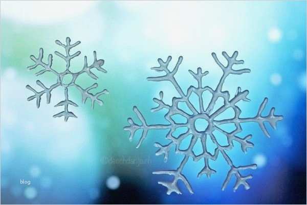 Schneekristalle Vorlagen Schneiden Best Of Die Besten 25 Schneekristalle Ideen Auf Pinterest