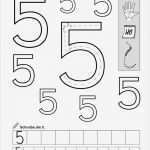 Schreiben Lernen Kindergarten Vorlagen Gut Die Besten 25 Mathematik 1 Klasse Ideen Auf Pinterest