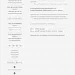 Schriftlicher Lebenslauf Vorlage Fabelhaft Premium Bewerbungsmuster 10