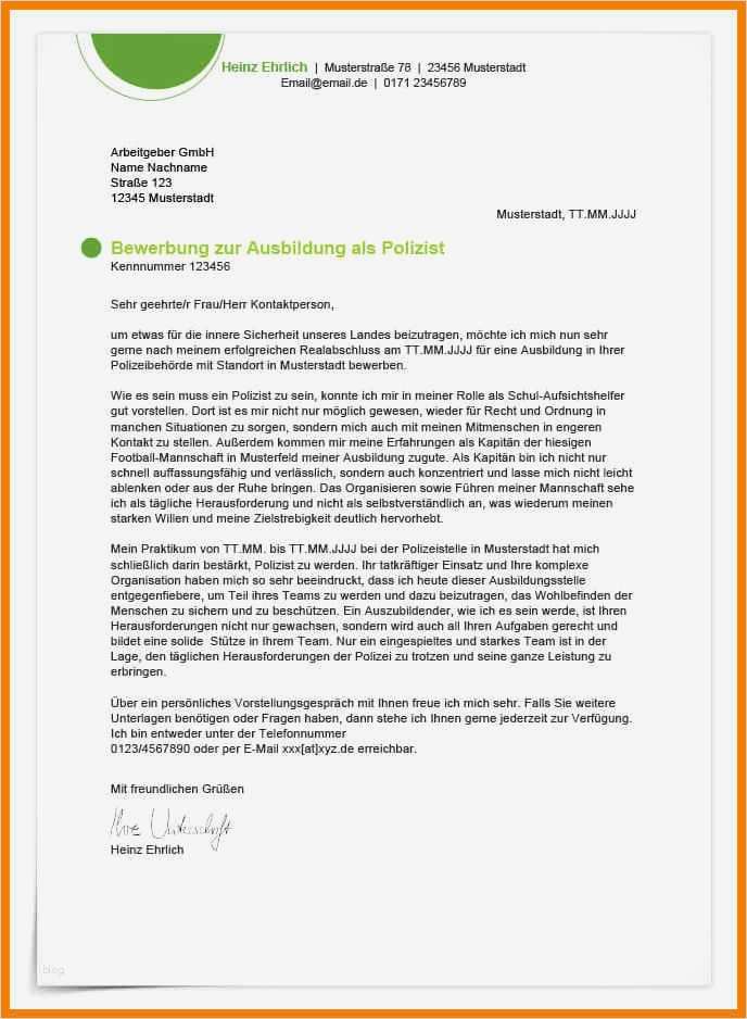 Schriftlicher Lebenslauf Vorlage Genial 11 Professionelle Bewerbung