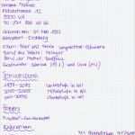 Schriftlicher Lebenslauf Vorlage Wunderbar Bewerbungsschreiben