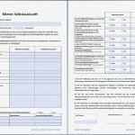 Selbstauskunft Vermieter Vorlage Erstaunlich Ungewöhnlich Musterhaus Mietvertrag Vorlage Ideen Bilder