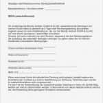 Sepa Firmenlastschrift Mandat Vorlage Sparkasse Einzigartig Sepa