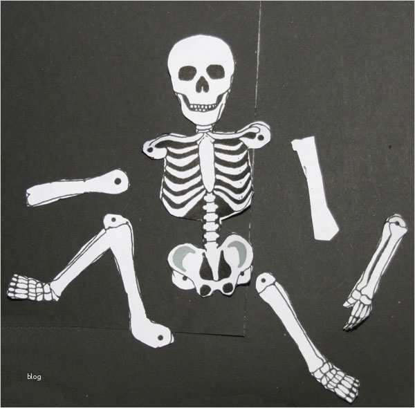 Skelett Hampelmann Vorlage Luxus Skelett Aus Filz – Halloween Feiern