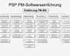 Software Konzept Vorlage Bewundernswert Projektbeispiel „einführung Einer Pm software
