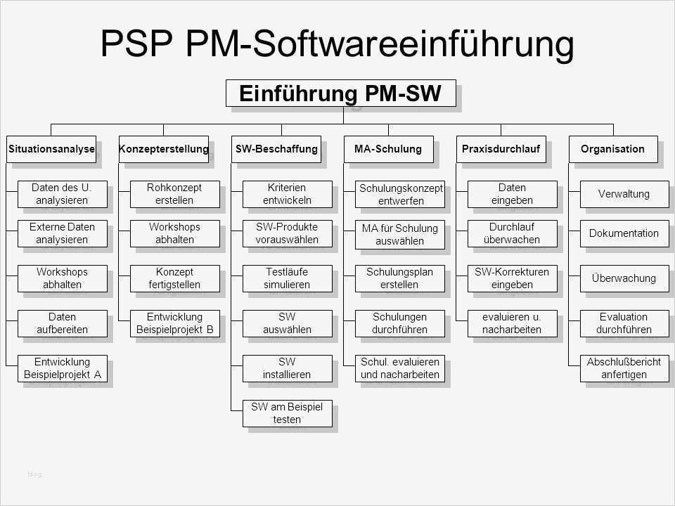 Software Konzept Vorlage Bewundernswert Projektbeispiel „einführung Einer Pm software