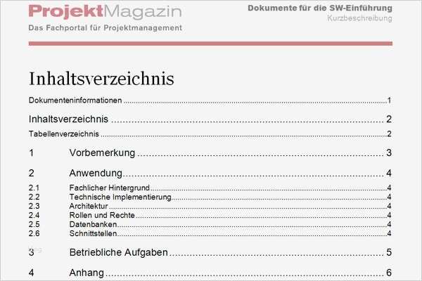 Software Konzept Vorlage Erstaunlich Word