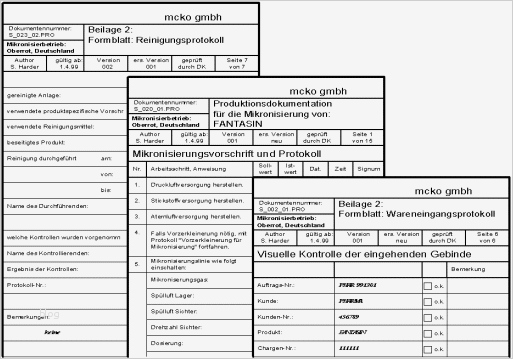 Software Validierung Vorlage Gut Ziemlich Beispielevaluierungsplan Bilder Bilder Für Das