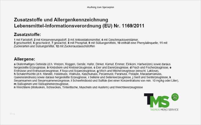 Speiseplan Altenheim Vorlage Bewundernswert Beste Speiseplan Vorlage Zeitgenössisch