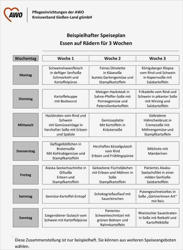 Speiseplan Altenheim Vorlage Erstaunlich Essen Auf Rädern