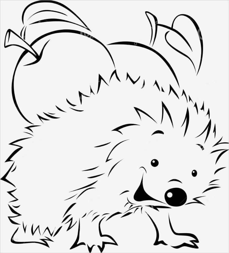 Sperrholz Fensterbilder Vorlagen Schönste Fensterbilder Für Den Herbst Basteln 25 Ideen Und Vorlagen