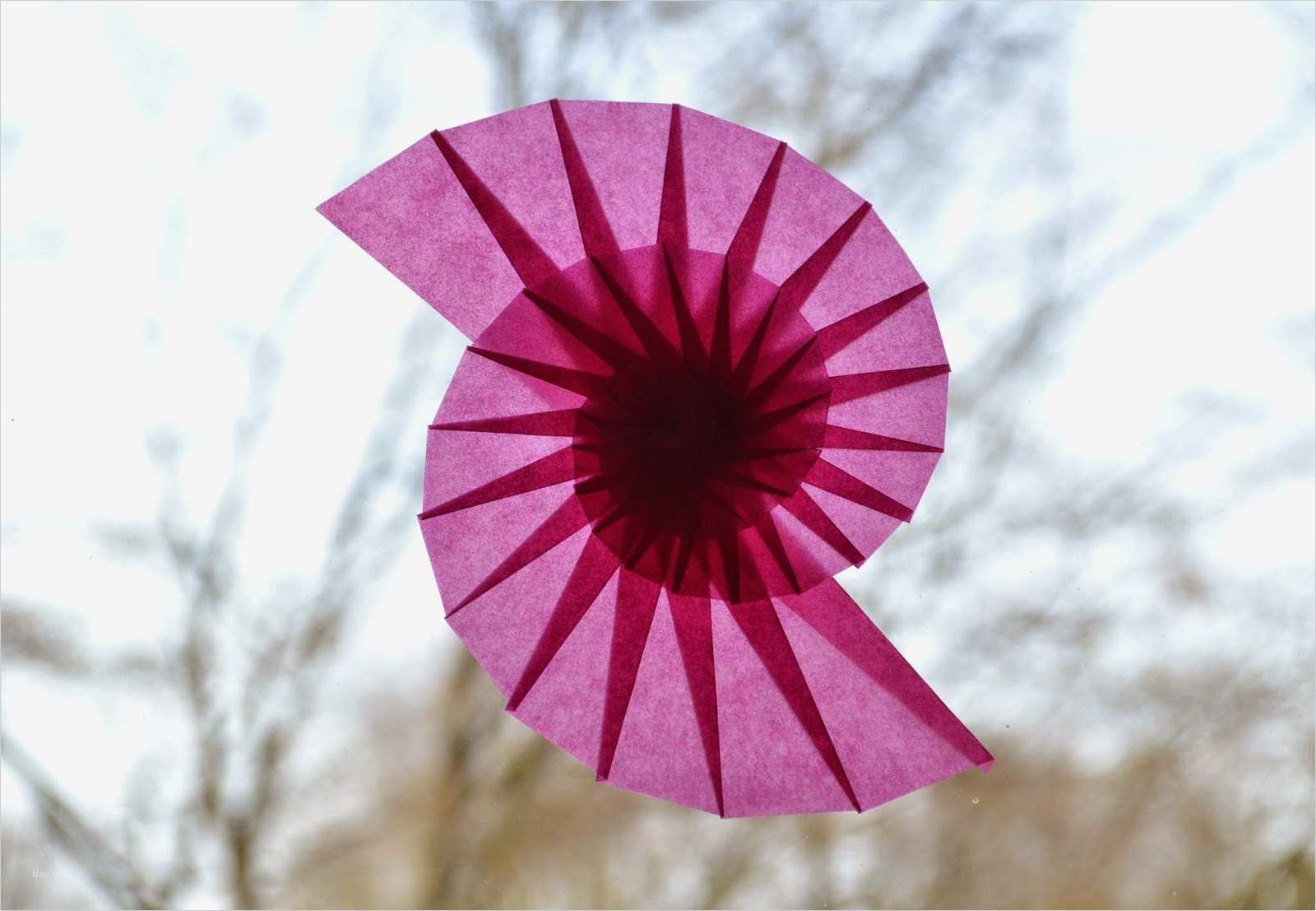 Spirale Vorlage Zum Ausschneiden Erstaunlich Fadenspiel Und Fingerwerk Spiralen An Fenster