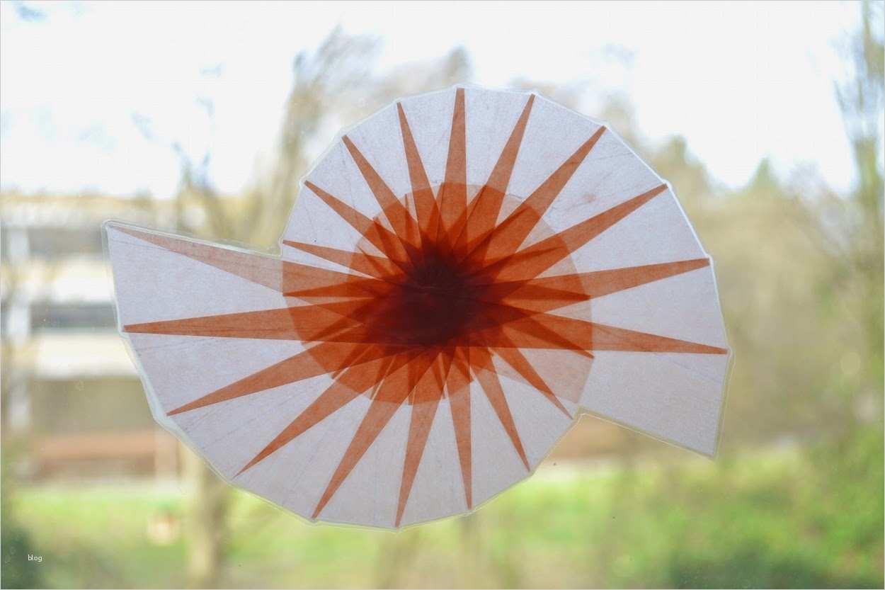 Spirale Vorlage Zum Ausschneiden Fabelhaft Spiralen An Fenster