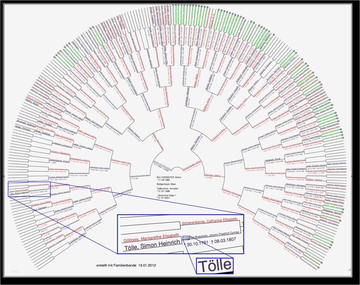 Stammbaum Ausdrucken Vorlage Erstaunlich Groß Stammbaum Pdf Vorlage Galerie