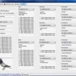 Stammbaum Ausdrucken Vorlage Fabelhaft Stammbaum Stb Download