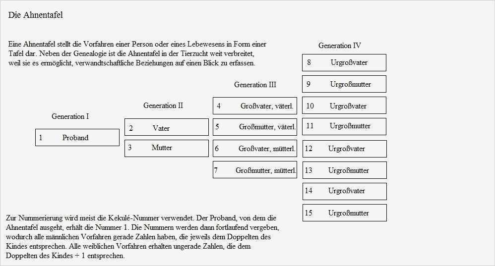 Stammbaum Ausdrucken Vorlage Schön Pin Ahnentafel Vorlage Und Diagramm On Pinterest