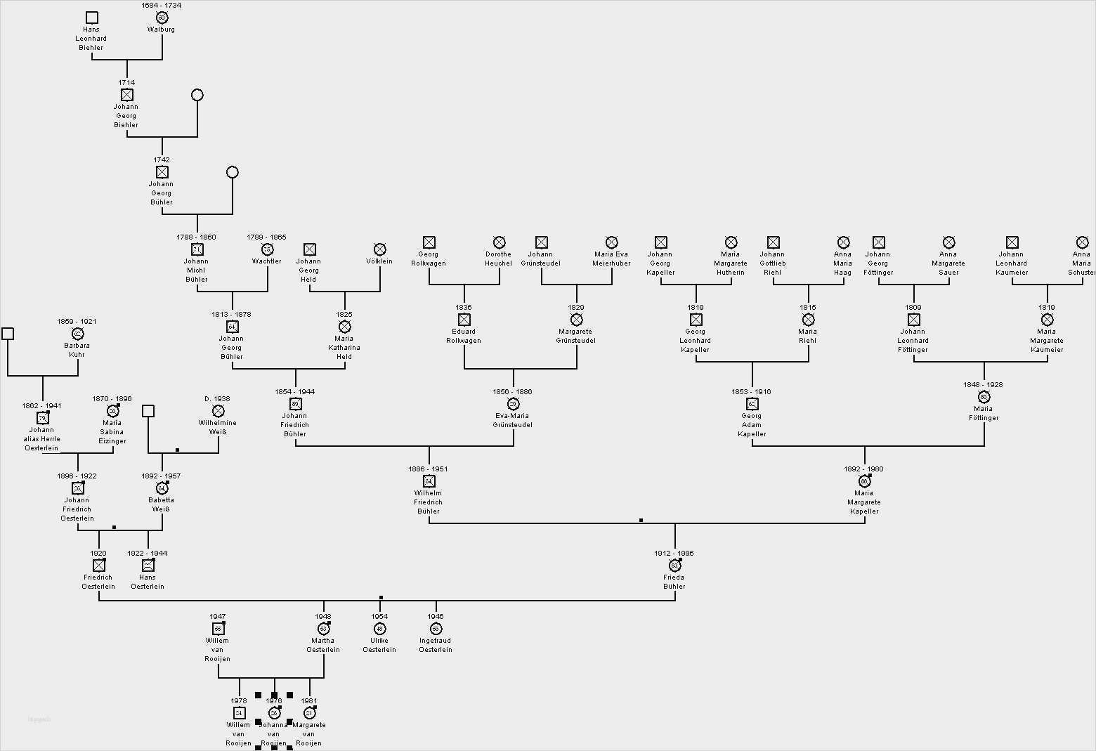 Stammbaum Ausdrucken Vorlage Wunderbar Großartig Stammbaum Pdf Vorlage Galerie Beispiel