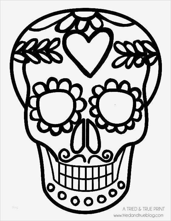 Star Wars Zeichnungen Vorlagen Süß Die Besten 17 Ideen Zu Masken Zum Ausdrucken Auf Pinterest