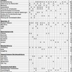 Stärken Schwächen Analyse Excel Vorlage Kostenlos Wunderbar Zielgruppenbewerbung Turbo Zum Traumjob