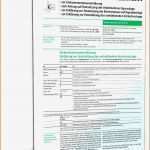 Steuererklärung Vorlage 2017 Schön 18 Steuererklarung 2018 formulare Pdf Vorlagen123