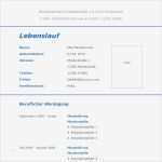 Stofftier Nach Vorlage Hübsch Vorlage 31 Tabellarischer Lebenslauf