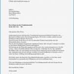 Stofftier Nach Vorlage Inspiration Bewerbung Nach Elternzeit Vorlage Beschwerdebrief Vorlage