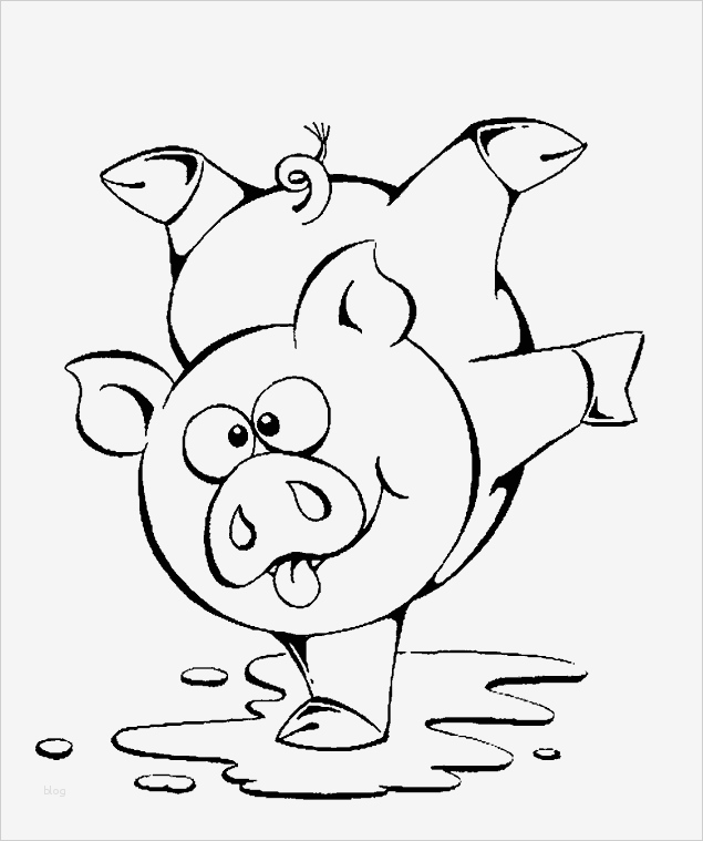 Storyboard Vorlage Zum Ausdrucken Wunderbar Dibujos Para Colorear De Cerdos Gorrino Cochino Puerco