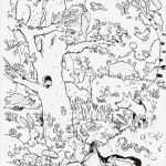 Strafarbeit Verhalten Im Unterricht Vorlage Hübsch Download Als Pdf Natur – Wald Tiere – Guckes