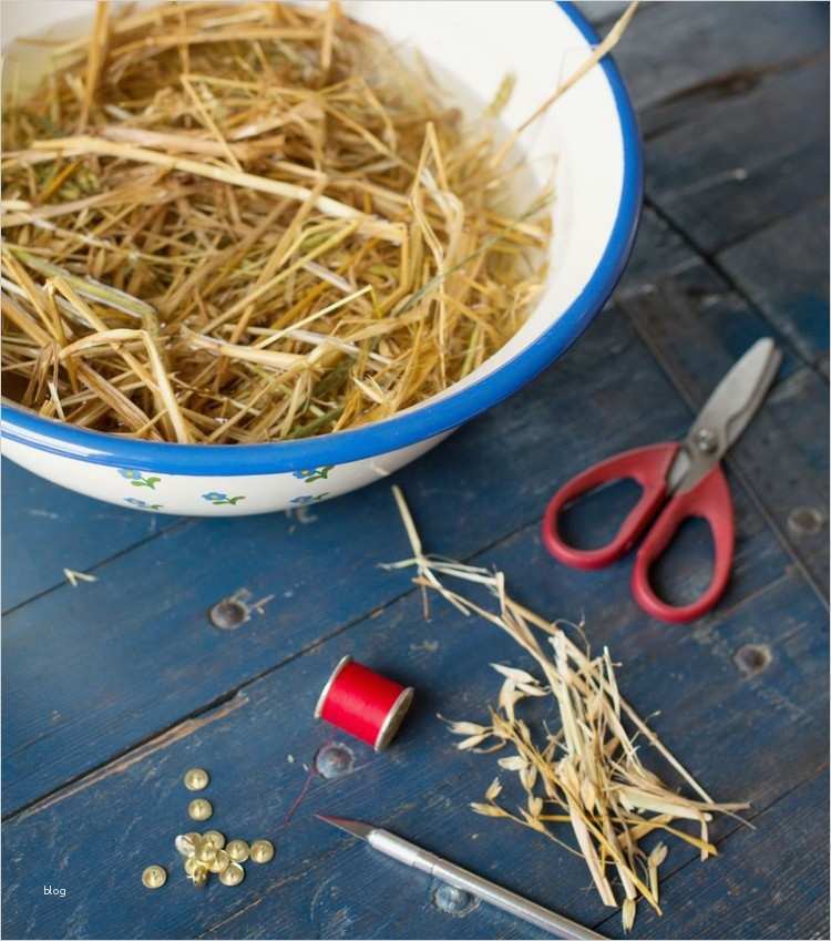 Strohsterne Basteln Vorlagen Best Of Strohsterne Basteln Zu Weihnachten Anleitung Und Schöne