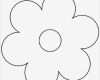 Strohsterne Basteln Vorlagen Inspiration Die Besten 25 Blumen Schablone Ideen Nur Auf Pinterest
