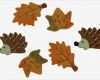 Strohsterne Basteln Vorlagen Süß Holzstreuteile Herbstmix Igel Und Blätter 3 4 Cm 6 Stück