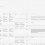 Stundenzettel Vorlage Excel Beste Ambulante Pflege Nst App Cloud Crm Erp Pze