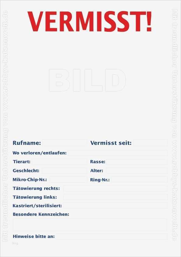 Suchplakat Katze Vorlage Bewundernswert Die Webseite Vom Kater Robby Hilfe Katze ist Weg