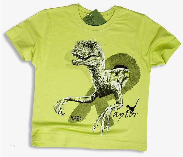 T Shirt Motive Vorlagen Best Of Kinder T Shirt Motiv Dinosaurier Raptor Grün