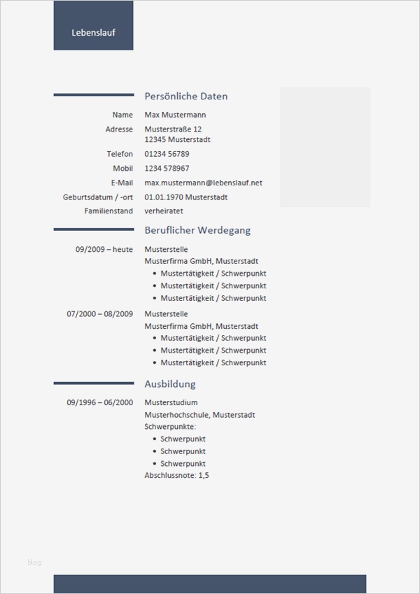 Tabellarischer Lebenslauf Vorlage Openoffice Schön Schön Grundlegende Vorlage Für Den Lebenslauf Fotos