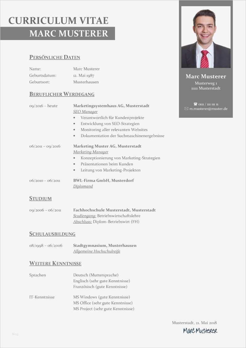 Tabellarischer Lebenslauf Vorlage Openoffice Süß Wunderbar Kostenloser Professioneller Lebenslauf Vorlagen