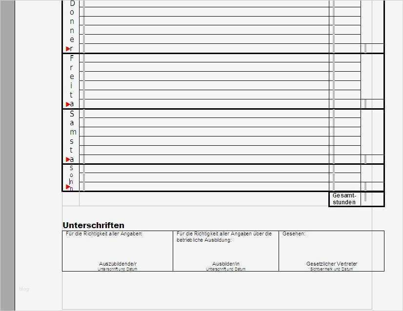 Tagesbericht Vorlage Zum Ausdrucken Erstaunlich Beste Tagesberichte Vorlagen Galerie Beispiel