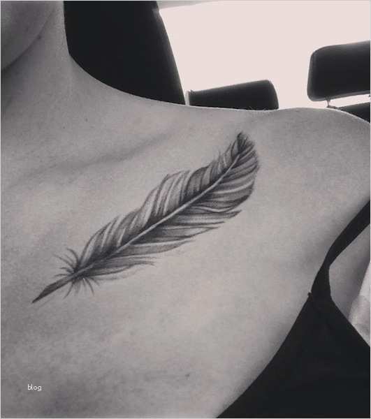 Tattoo Schlüsselbein Vorlagen Erstaunlich Foto Feder Tattoo Feder Unter Dem Schlüsselbein