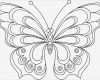 Tattoo Vorlagen Pdf Einzigartig Schmetterling Vorlage Malen Ausmalbilder Von Vorlage
